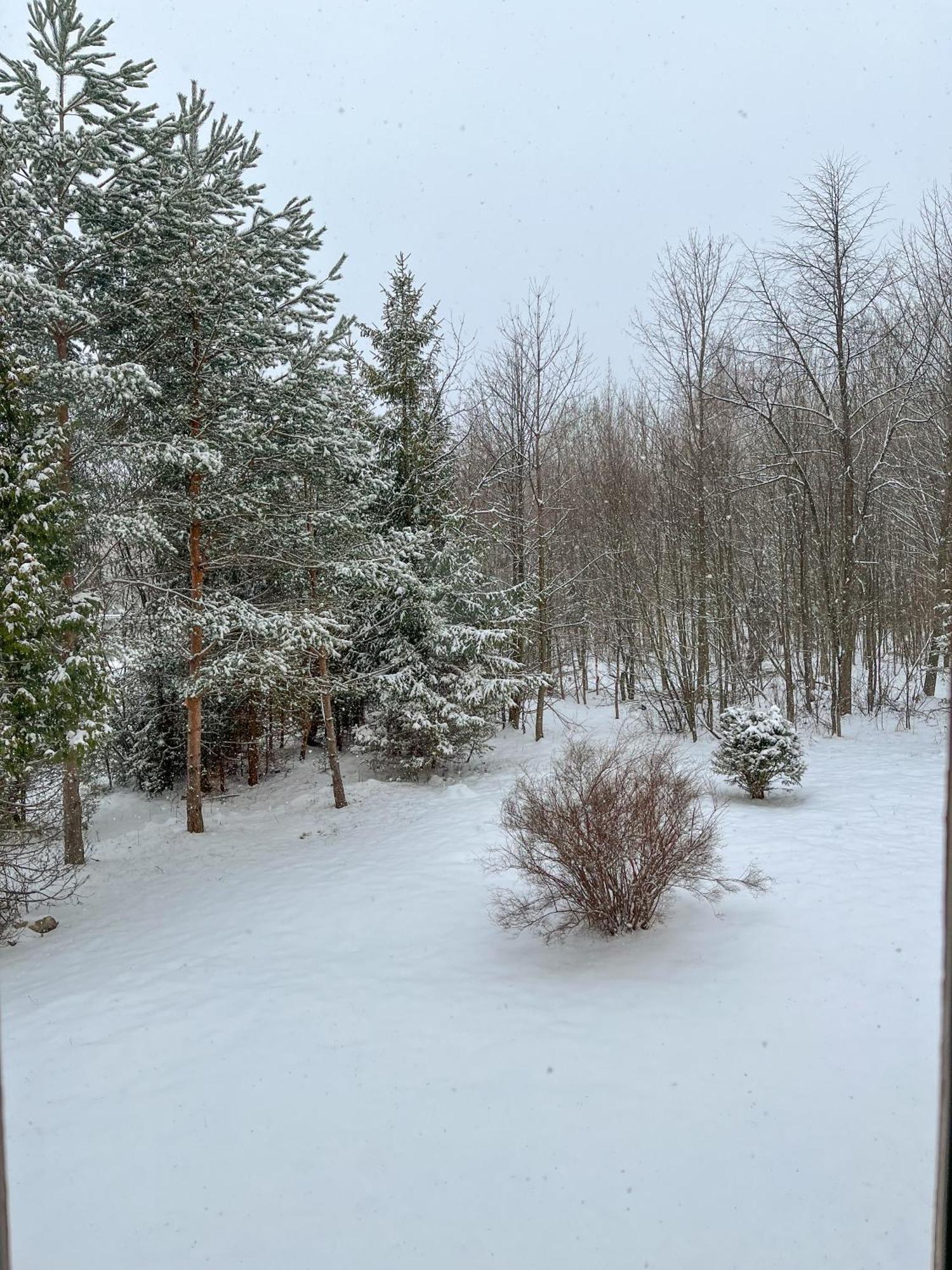 Slnecny 2-Izbovy Apartman Pod Lesom, Dolny Smokovec Vysoké Tatry Extérieur photo